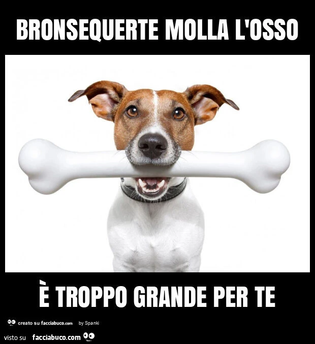 Bronsequerte molla l'osso È troppo grande per te