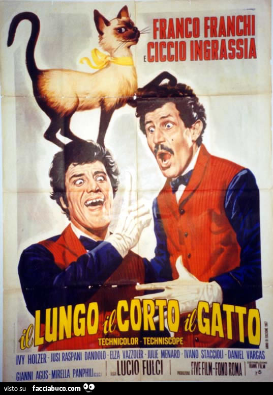 Vaccata