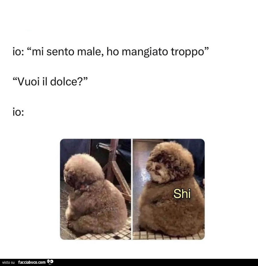 Io: mi sento male, ho mangiato troppo. Vuoi il dolce? Io: shi