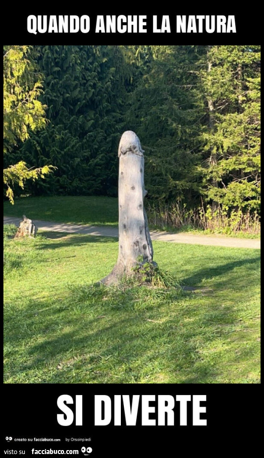 Quando anche la natura si diverte