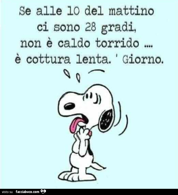 Se alle 10 del mattino ci sono 28 gradi, non è caldo torrido è cottura lenta. Giorno
