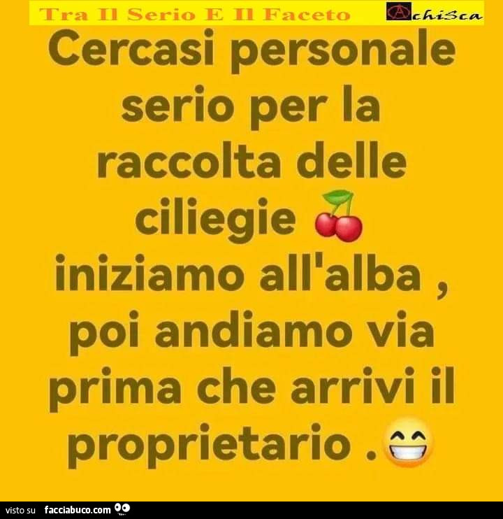 Cercasi personale serio per la raccolta delle ciliegie iniziamo all'alba, poi andiamo via prima che arrivi il proprietario