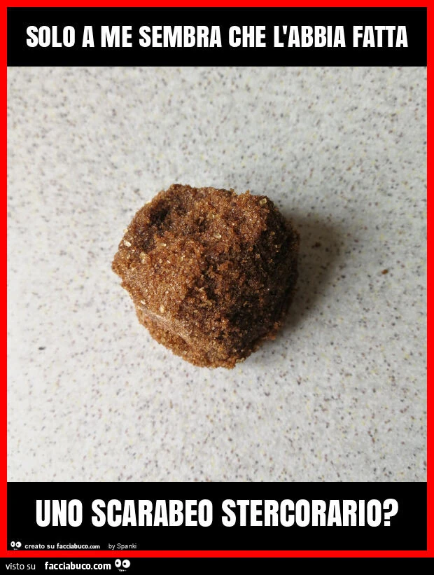 Solo a me sembra che l'abbia fatta uno scarabeo stercorario?