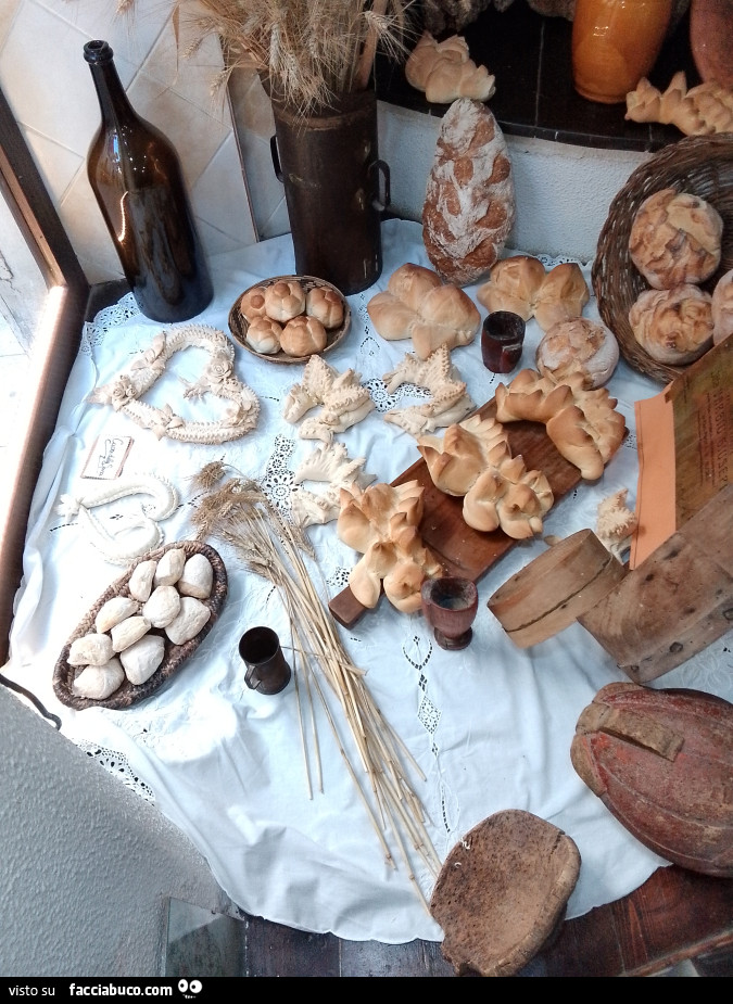 Vaccata