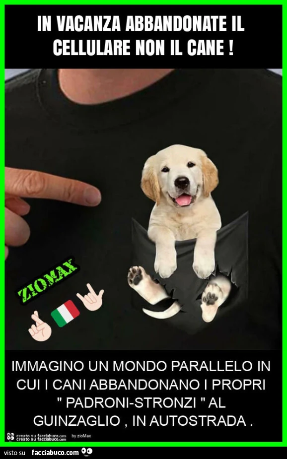 In vacanza abbandonate il cellulare non il cane
