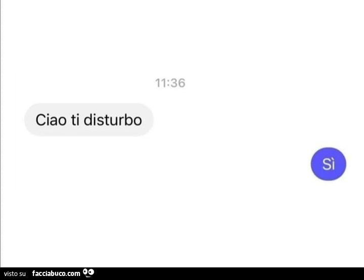 Ciao ti disturbo? Sì