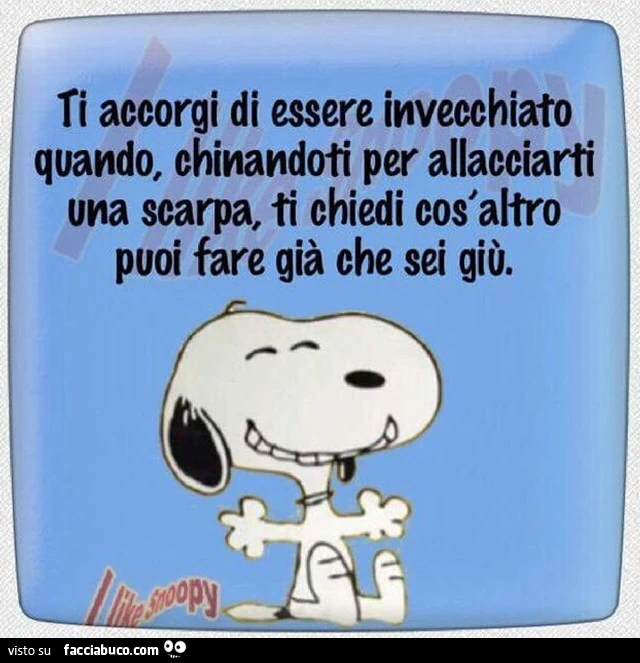 Le perle di snoopy&hellip; 🤣