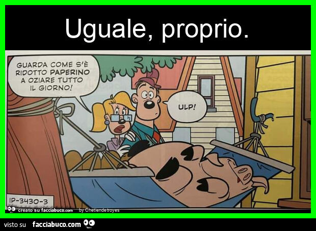 Uguale, proprio